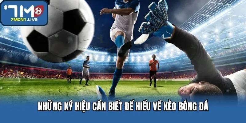 Những ký hiệu cần biết để hiểu về kèo bóng đá