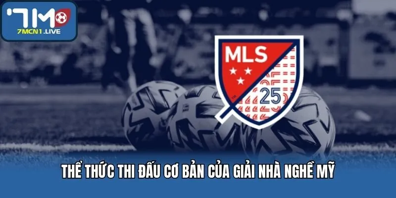 Thể thức thi đấu cơ bản của giải nhà nghề Mỹ